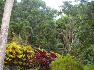 thumbnail: View from property