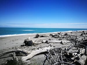 thumbnail: Beach