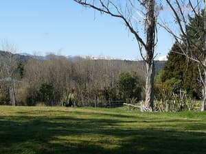 thumbnail: Mountain view