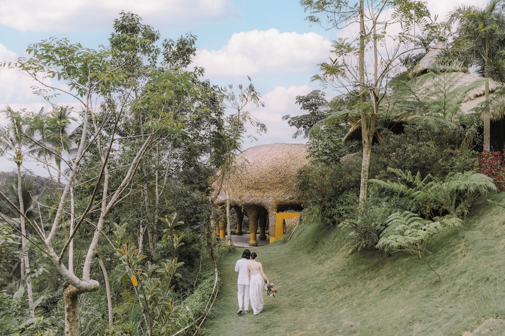 Outdoor wedding area