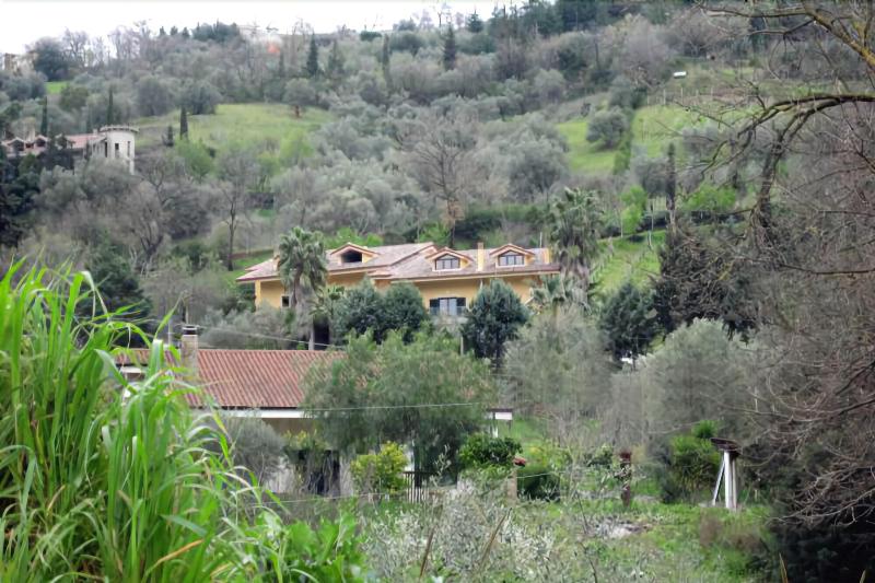 General view