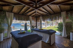 thumbnail: Spa reception