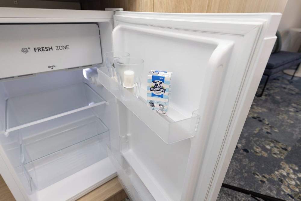 Mini-refrigerator