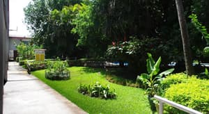 thumbnail: Garden