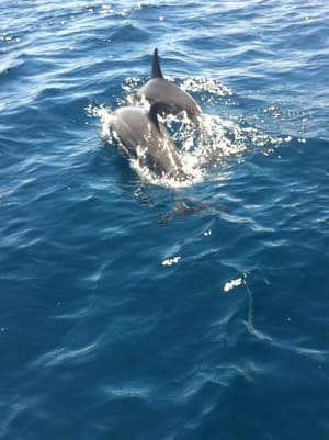 thumbnail: Fishing