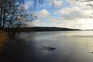 thumbnail: View from property