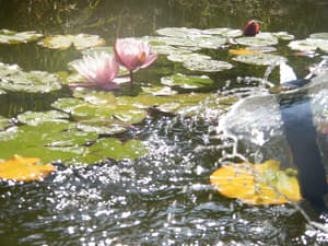 thumbnail: Fountain