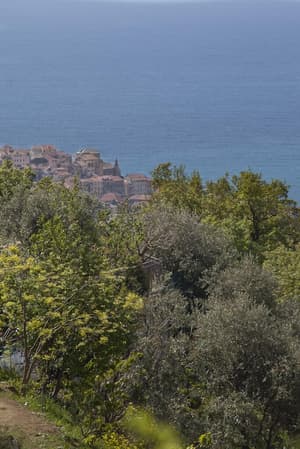 thumbnail: View from property