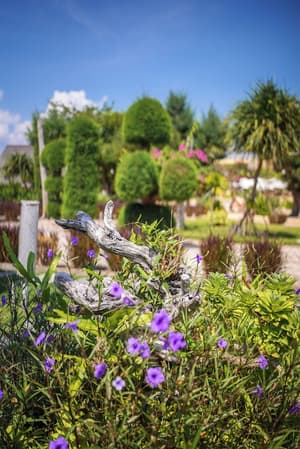 thumbnail: Garden