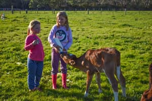 thumbnail: Children's play area - outdoor