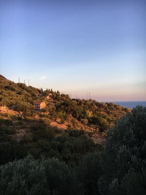 thumbnail: View from property