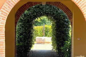 thumbnail: Garden