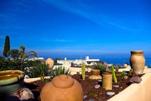 thumbnail: Garden