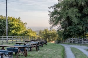 thumbnail: Food and drink