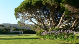 thumbnail: View from property