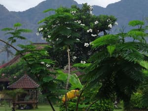 thumbnail: View from property