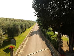 thumbnail: Aerial view