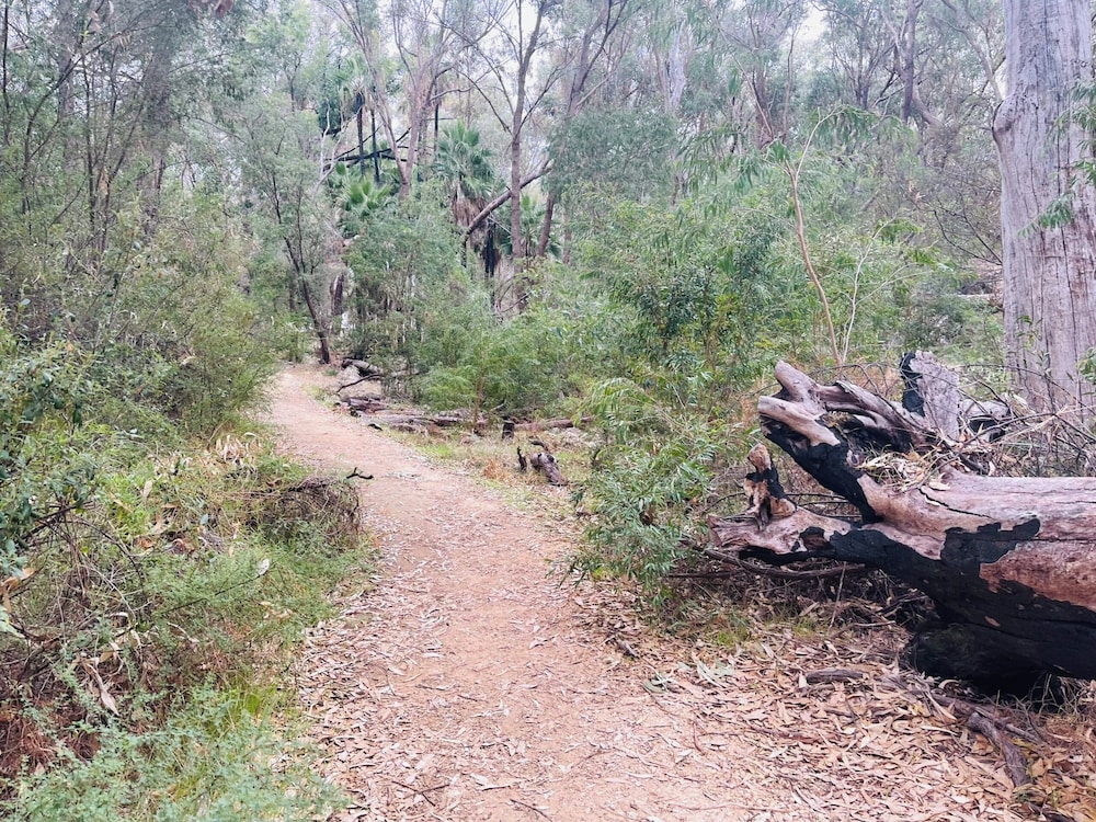 Hiking