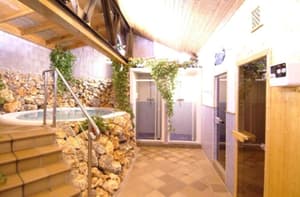 thumbnail: Indoor spa tub