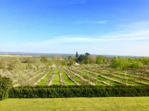 thumbnail: View from property