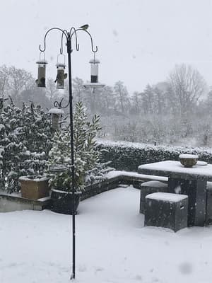 thumbnail: Garden