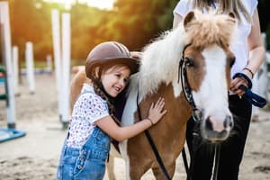 thumbnail: Horseback riding