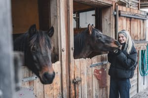 thumbnail: Horseback riding