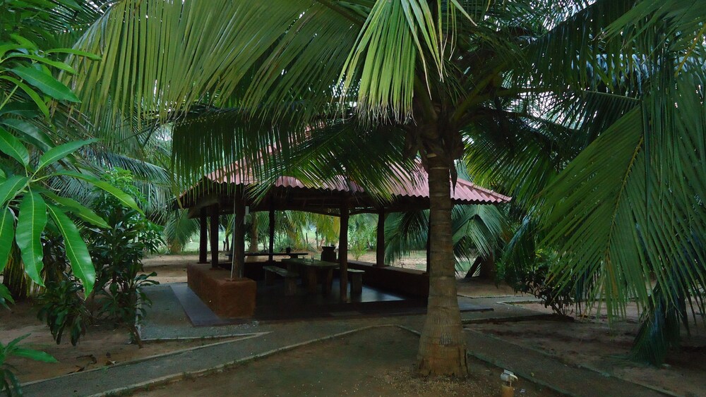 Primary image