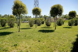 thumbnail: Garden