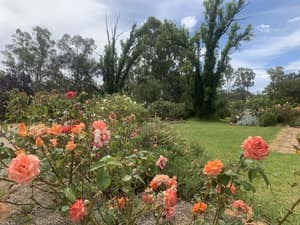 thumbnail: Front of property