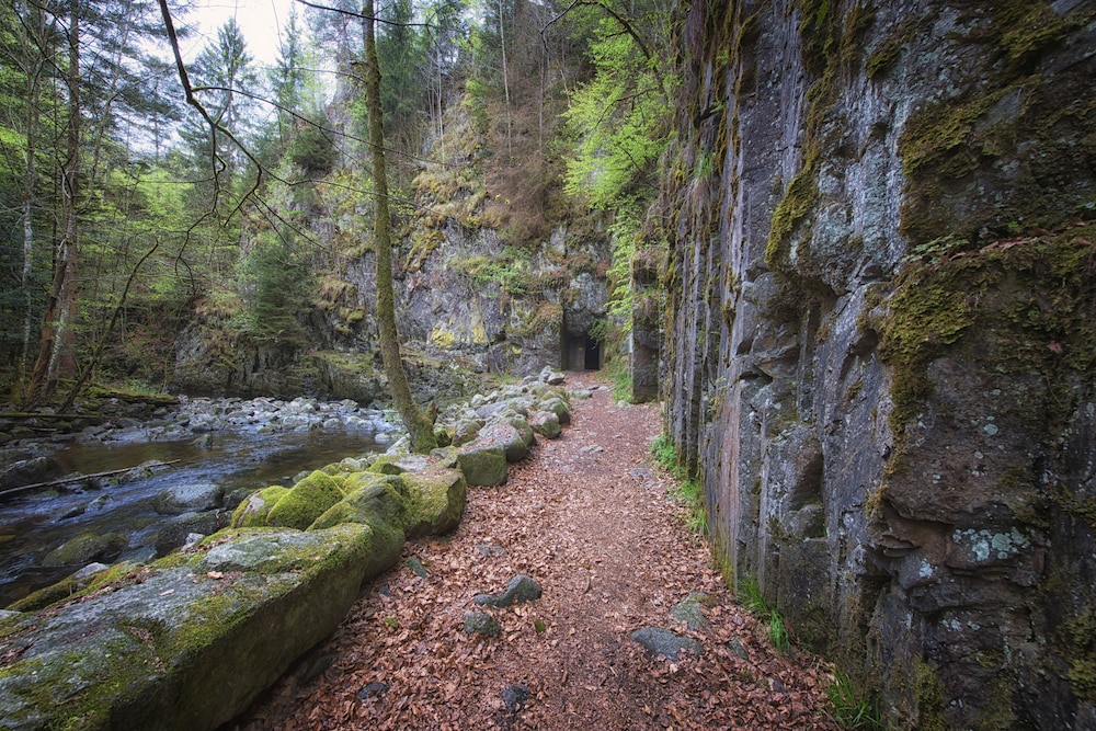 Hiking