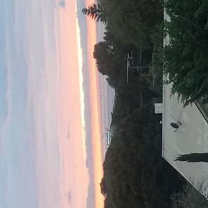 thumbnail: View from property
