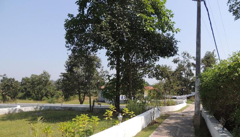 General view