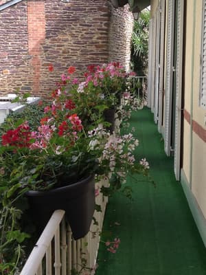 thumbnail: Terrace/patio