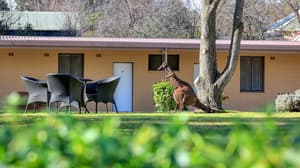 thumbnail: Property grounds