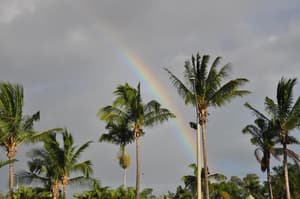 Rockhampton thumbnail