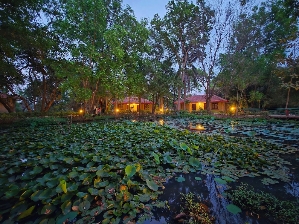 Lake view