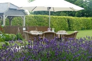 thumbnail: Garden