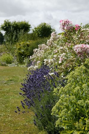 thumbnail: Garden