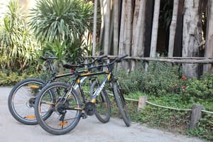 thumbnail: Bicycling