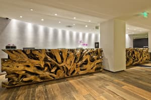 thumbnail: Reception