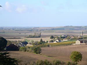 thumbnail: View from property