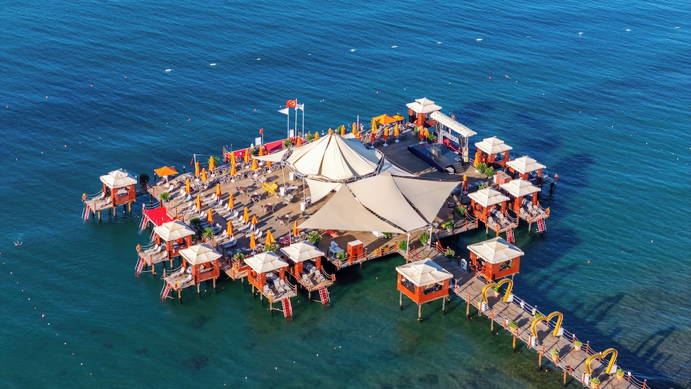 Outdoor wedding area