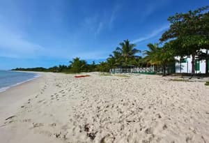 thumbnail: Beach