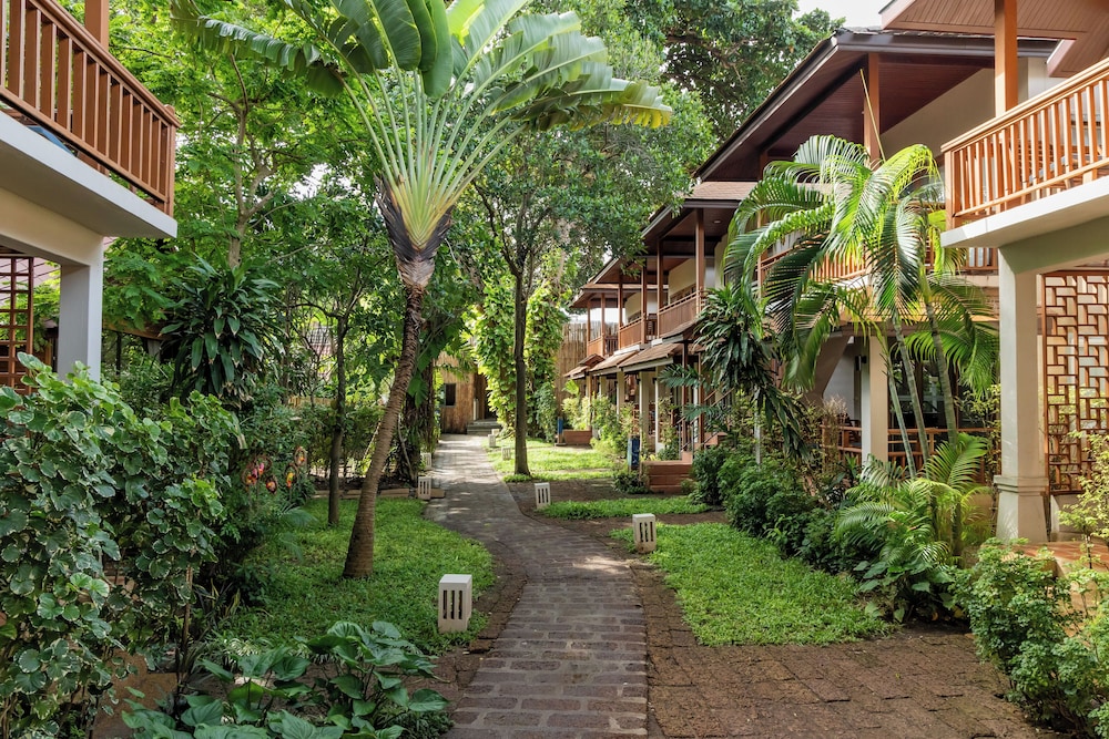 Garden view