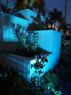 thumbnail: Garden