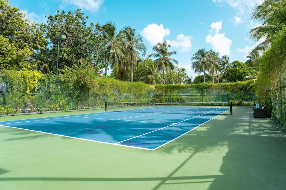 Tennis court
