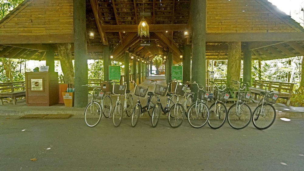 Bicycling