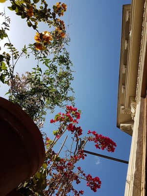 thumbnail: Balcony