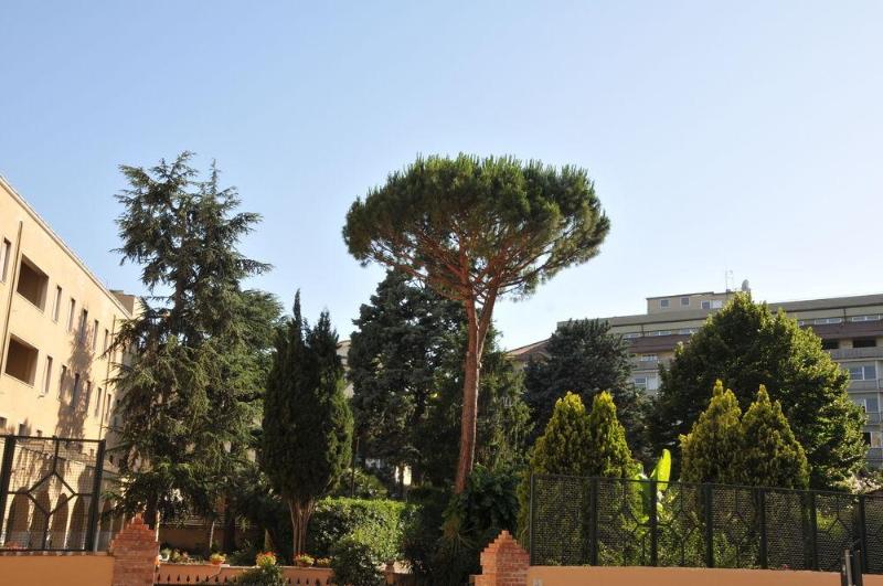 General view